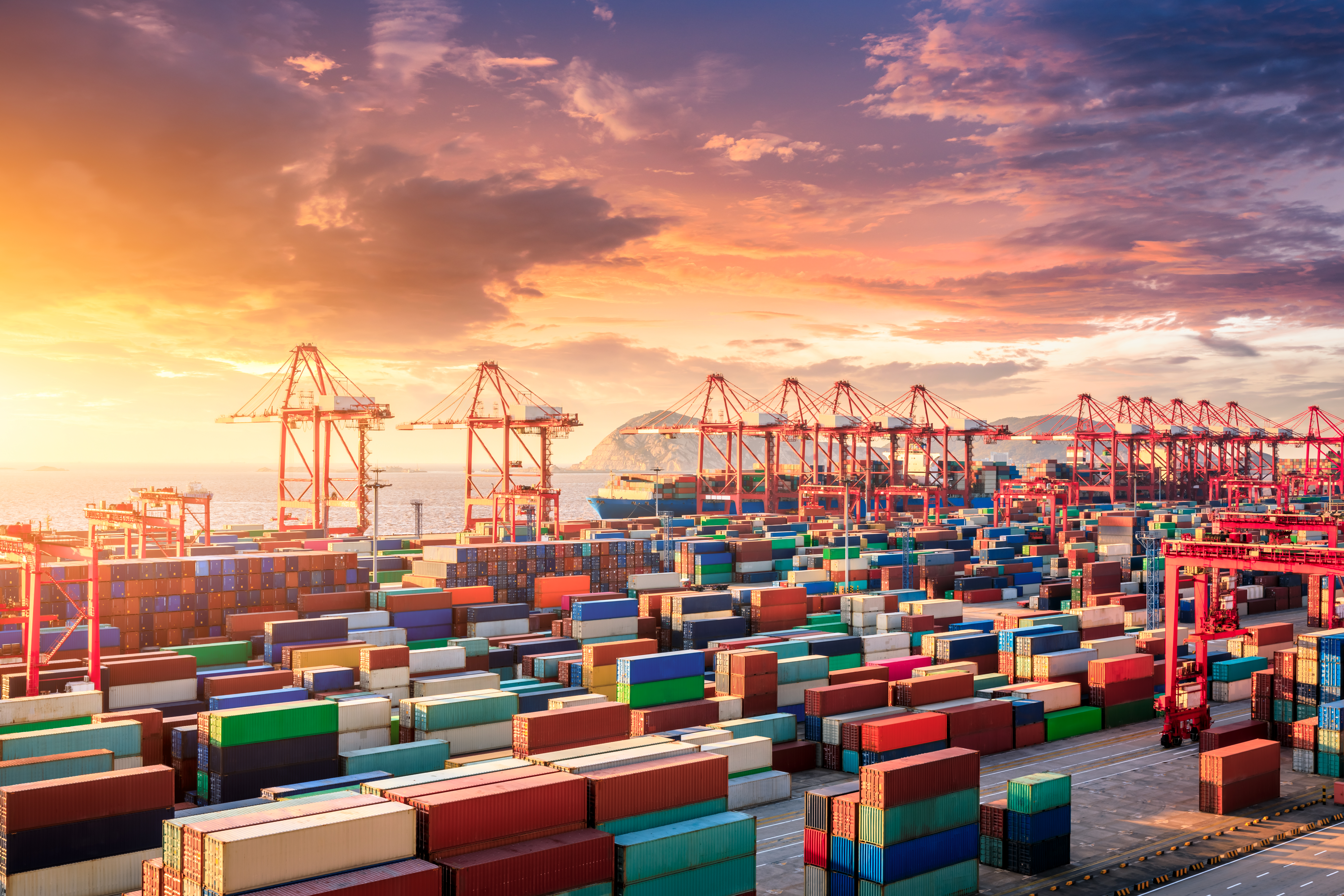 Ocean & Multimodal Freight